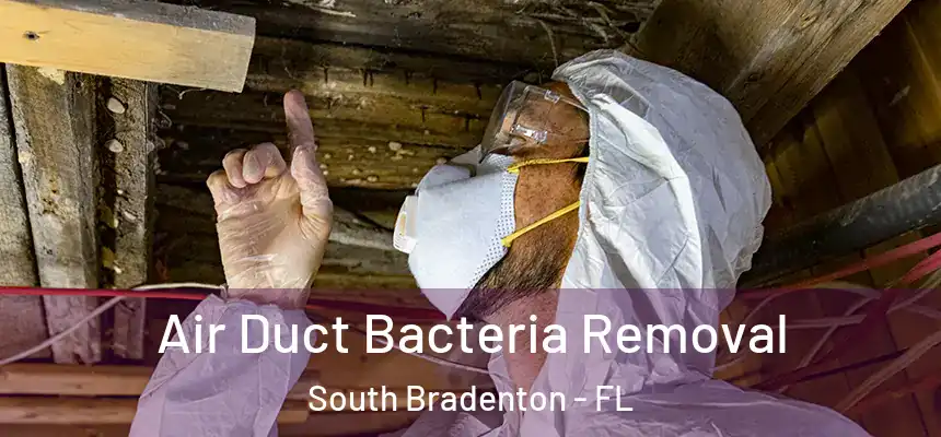  Air Duct Bacteria Removal South Bradenton - FL