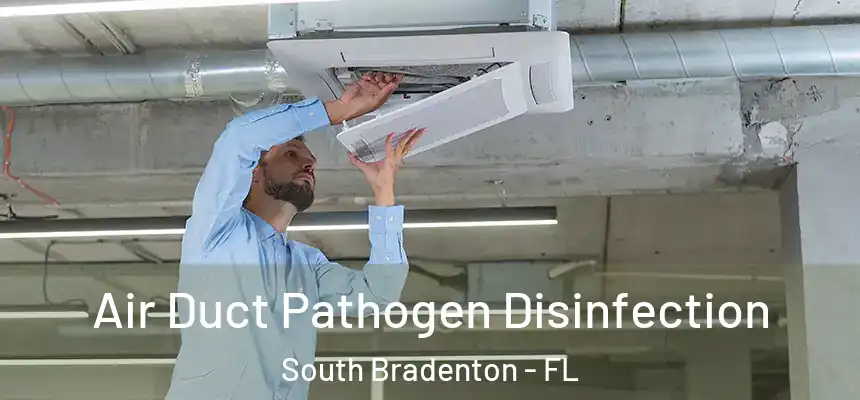 Air Duct Pathogen Disinfection South Bradenton - FL