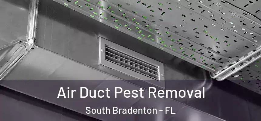  Air Duct Pest Removal South Bradenton - FL
