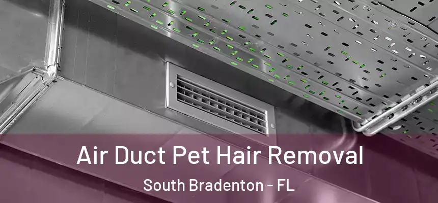  Air Duct Pet Hair Removal South Bradenton - FL