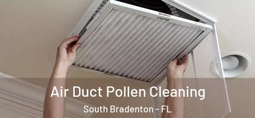  Air Duct Pollen Cleaning South Bradenton - FL