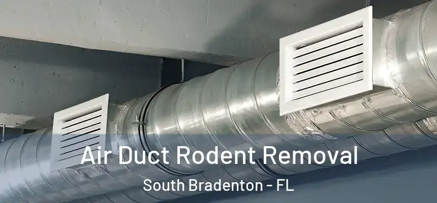  Air Duct Rodent Removal South Bradenton - FL