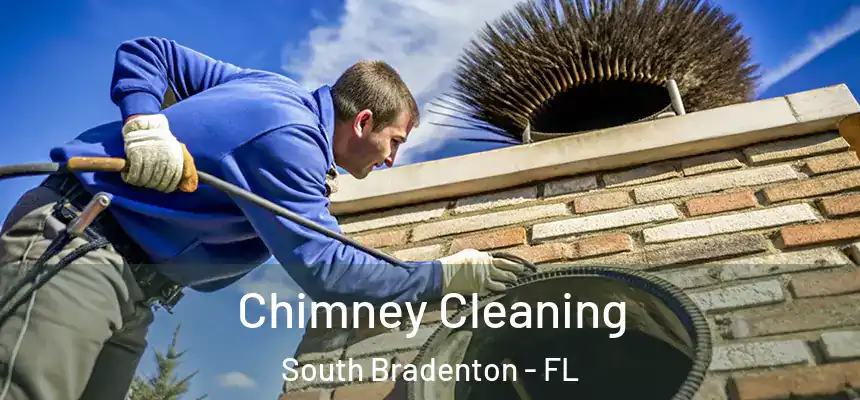 Chimney Cleaning South Bradenton - FL