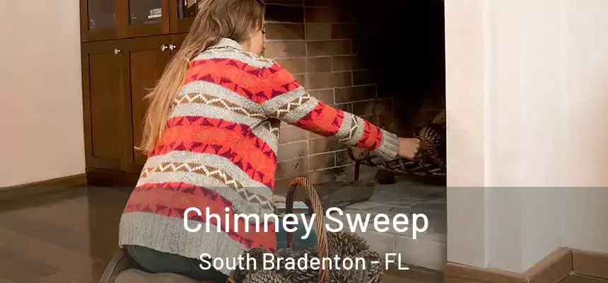  Chimney Sweep South Bradenton - FL