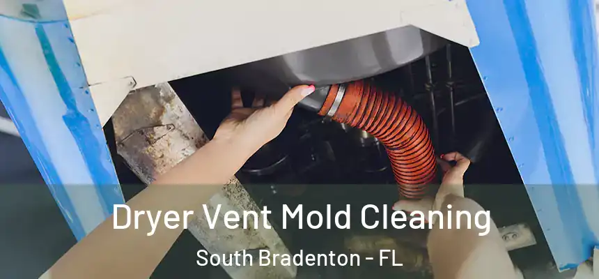  Dryer Vent Mold Cleaning South Bradenton - FL