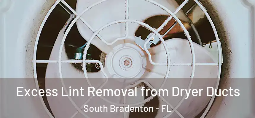  Excess Lint Removal from Dryer Ducts South Bradenton - FL