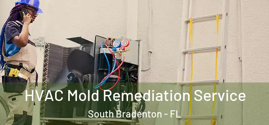  HVAC Mold Remediation Service South Bradenton - FL