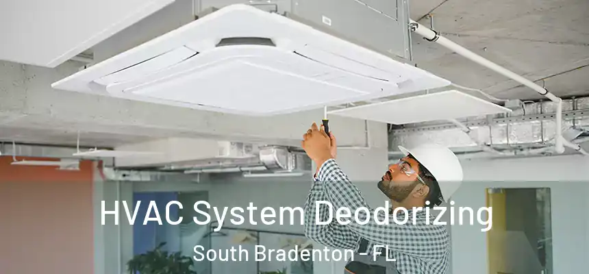  HVAC System Deodorizing South Bradenton - FL