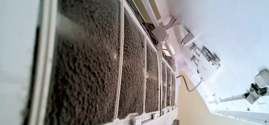 Preventive Air Duct Bacteria Removal in South Bradenton