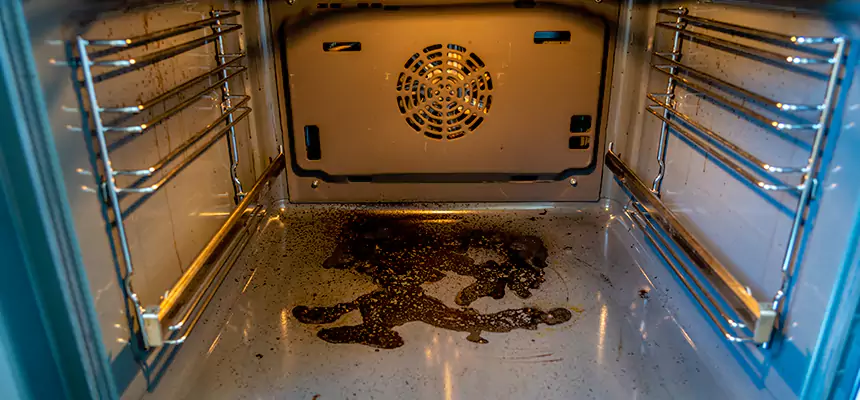 Our Dryer Vent Mold Cleaning Services in South Bradenton, FL