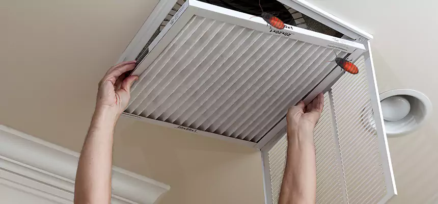Our Insect Removal from Air Ducts Services in South Bradenton, FL