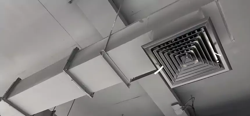 Our Rodent Droppings In Vents Services in South Bradenton, FL