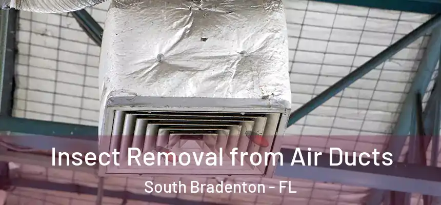  Insect Removal from Air Ducts South Bradenton - FL
