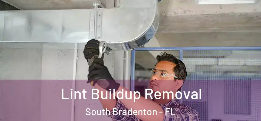  Lint Buildup Removal South Bradenton - FL