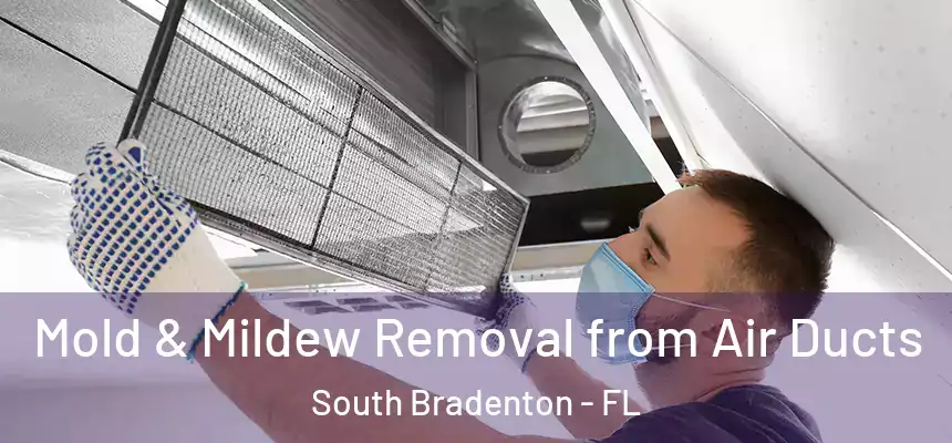  Mold & Mildew Removal from Air Ducts South Bradenton - FL