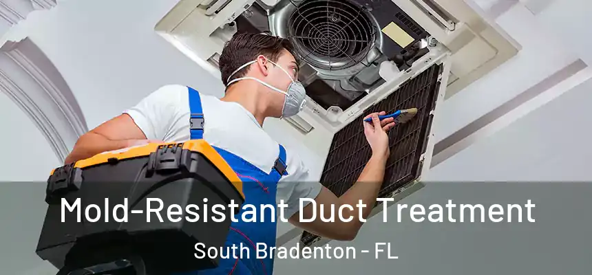  Mold-Resistant Duct Treatment South Bradenton - FL