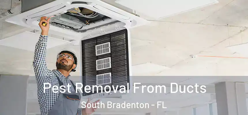  Pest Removal From Ducts South Bradenton - FL