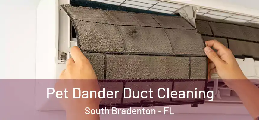  Pet Dander Duct Cleaning South Bradenton - FL