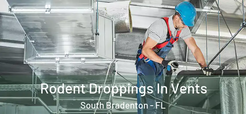  Rodent Droppings In Vents South Bradenton - FL