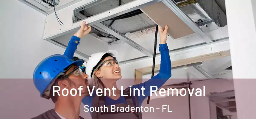  Roof Vent Lint Removal South Bradenton - FL