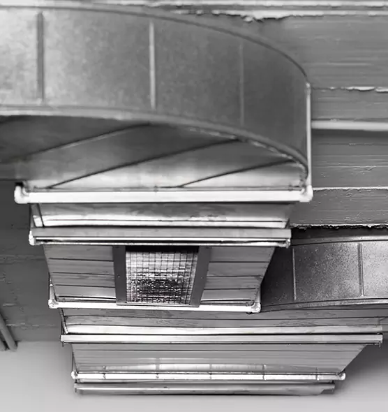 Professional Air Duct Pet Hair Removal in South Bradenton, FL