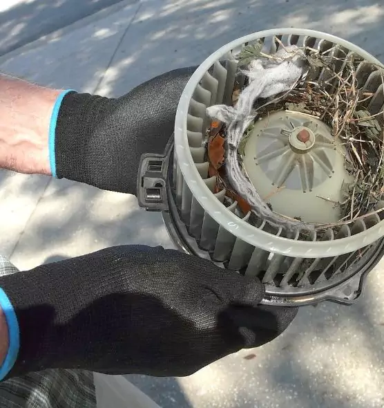 About Air Duct Rat Removal in South Bradenton, FL