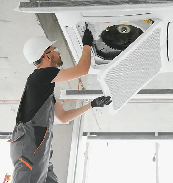 About Air Duct Rodent Removal in South Bradenton, FL