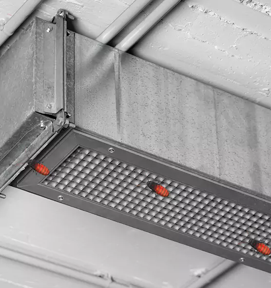 Affordable Insect Removal from Air Ducts in South Bradenton, FL