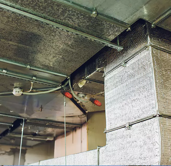 Why Homeowners & Businesses Trust Us in South Bradenton, FL?