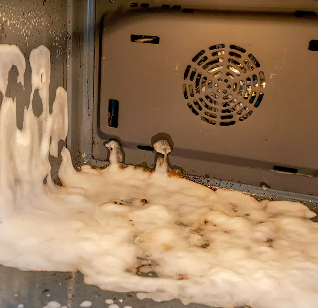 Why Homeowners Businesses Trust Us in South Bradenton, FL?