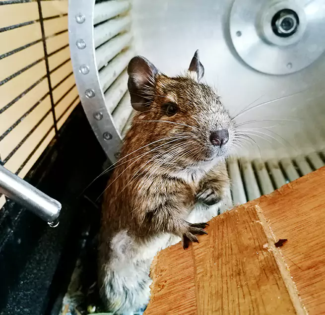 Why Homeowners & Businesses Trust Us South Bradenton, FL