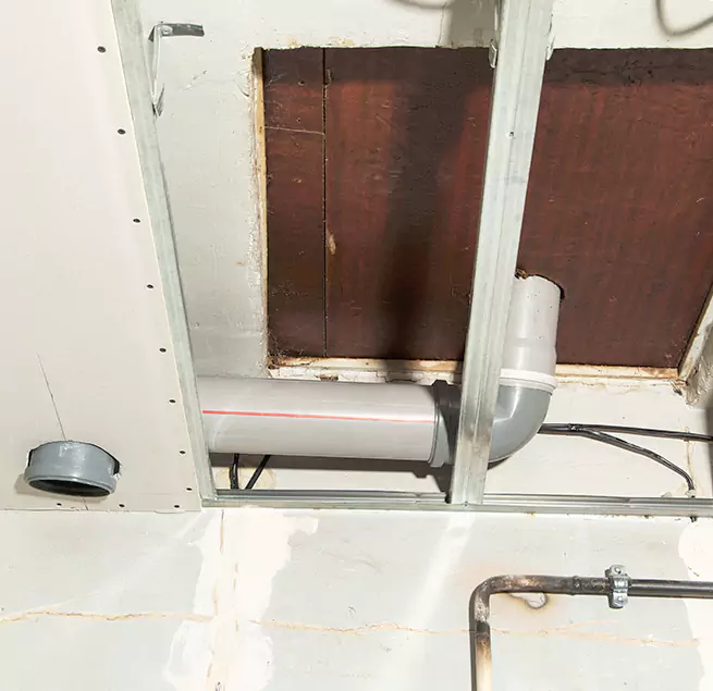 Why Homeowners & Businesses Trust Us in South Bradenton, FL?