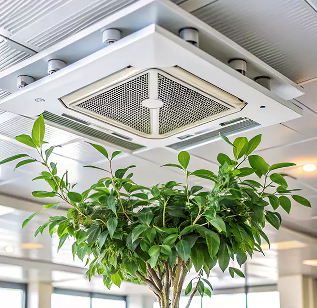 Why Homeowners & Businesses Trust Us in South Bradenton, FL?