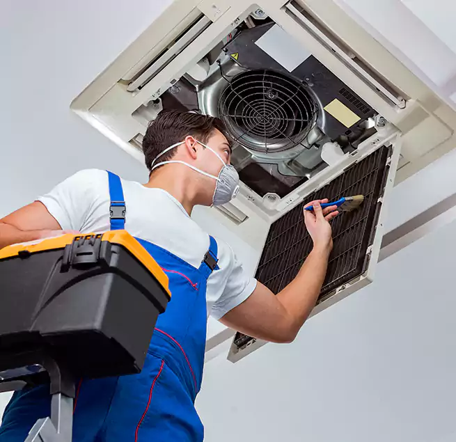 Why Homeowners & Businesses Trust Us in South Bradenton, FL?