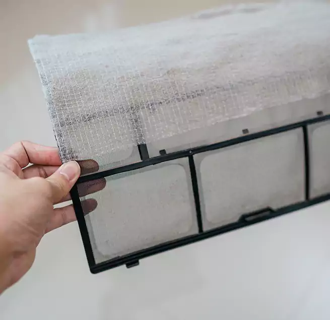 Why Homeowners & Businesses Trust Us in South Bradenton, FL?