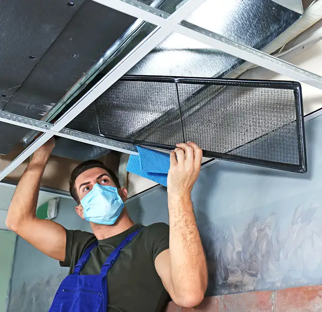 Why Homeowners & Businesses Trust Us in South Bradenton, FL?