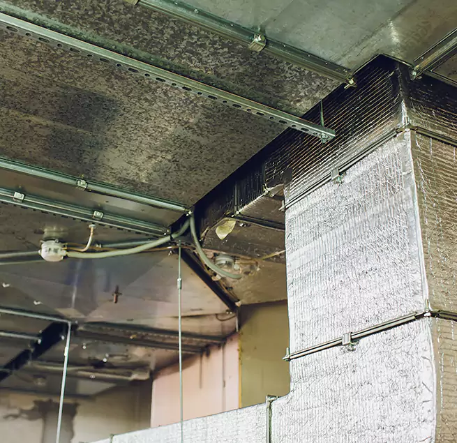 Why Homeowners & Businesses Trust Us in South Bradenton, FL?